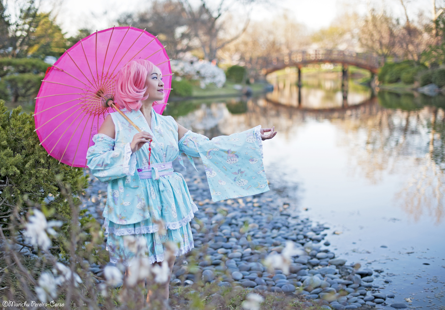 Cherry Blossom Missouri Botanical Garden St. Louis MO 2019