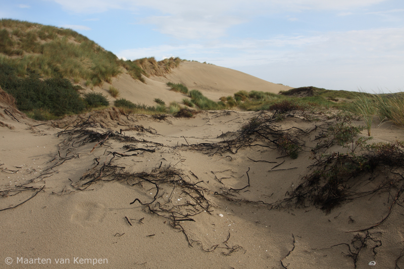 Dunes