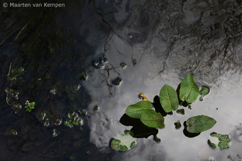 Reflection