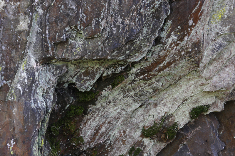 Rocks