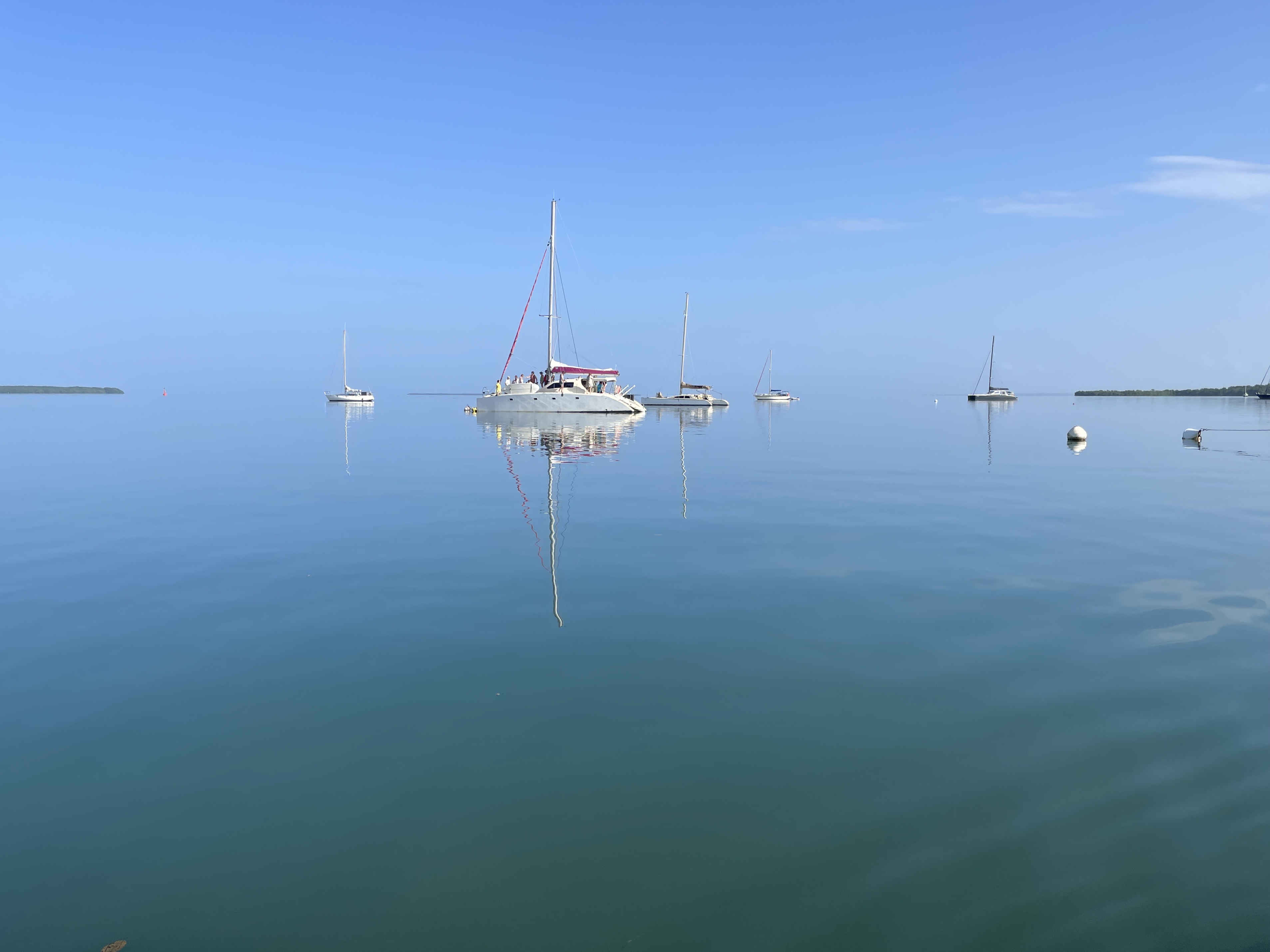 IMG_3545.jpeg