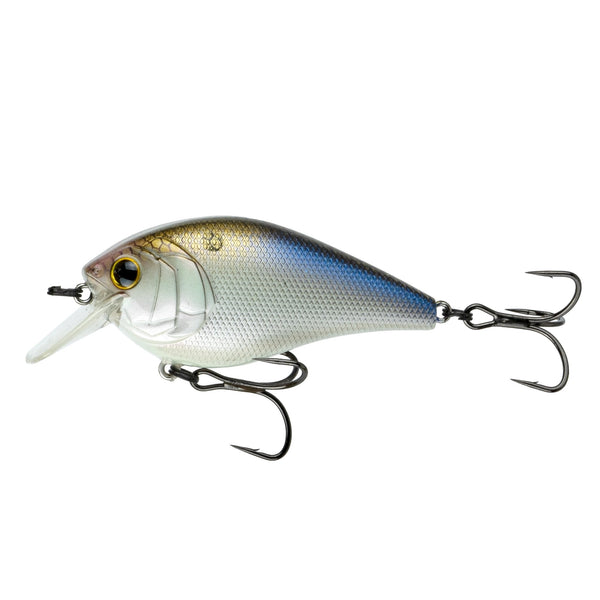 Shop Affordable Fishing Material Online.jpg