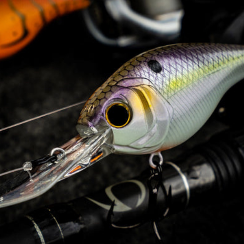 Buy Shallow Diving Crankbaits Online at an Affordable Price