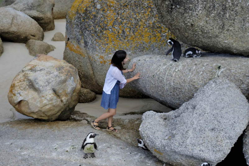 Boulders Beach