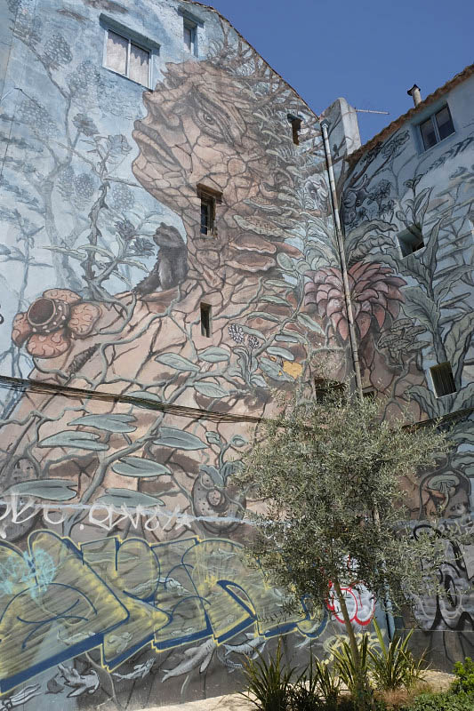 Saco Street, Violant 2015