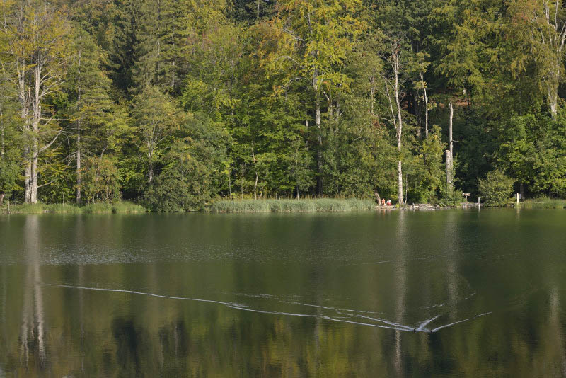 Plitvice Lakes National Park