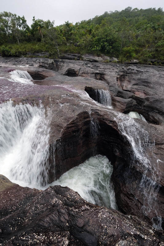 La Macarena, Cao Cristales