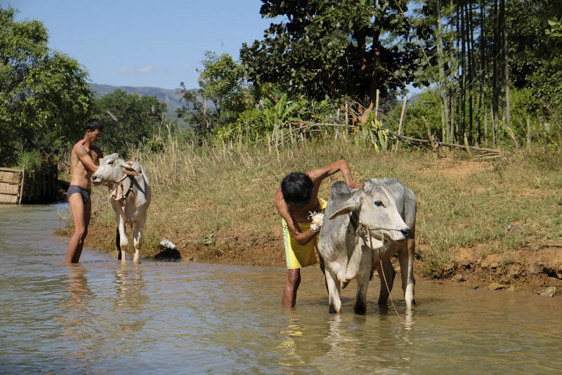 Inle Lake, to Inthein