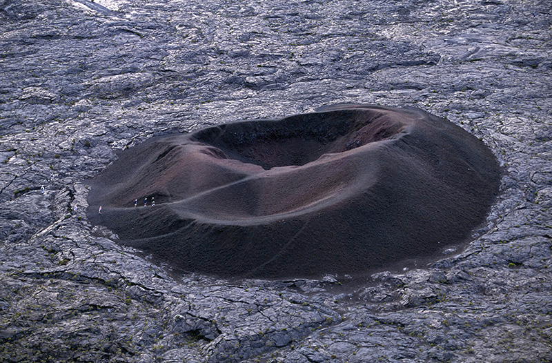 Reunion Island, Formica Leo