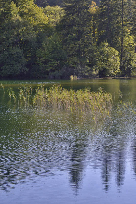 Plitvice Lakes National Park