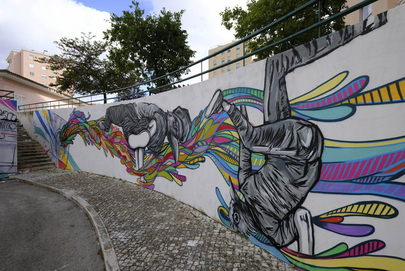 Maria Jos da Guia Street, Color Blind Colective 2019