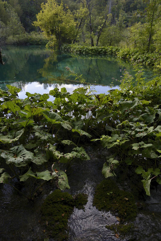 Plitvice Lakes National Park