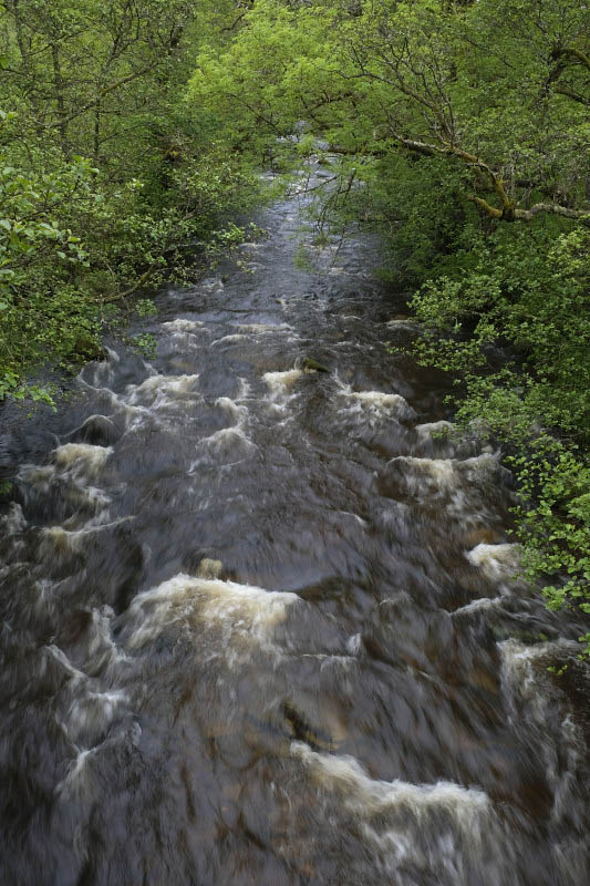 River near Hermitage Castle