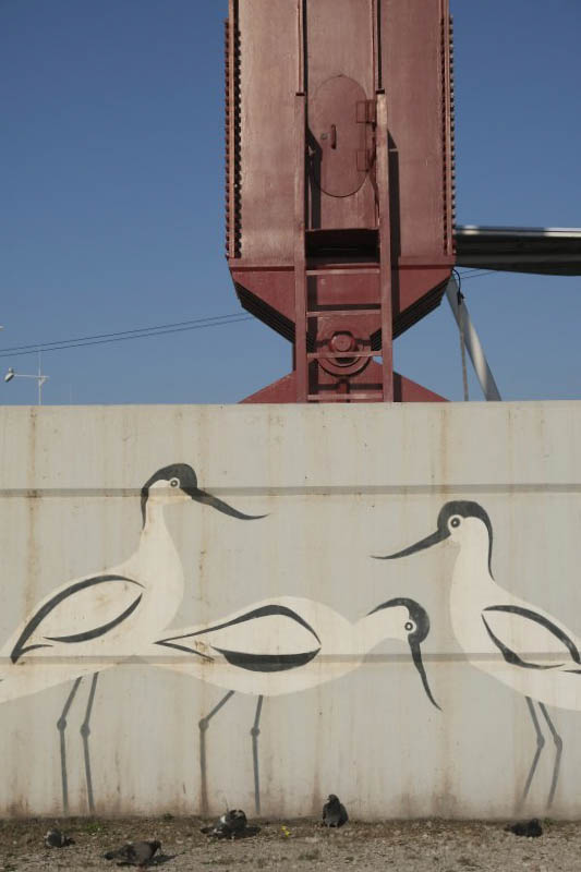 25 Abril Bridge, Brandia Central 2012
