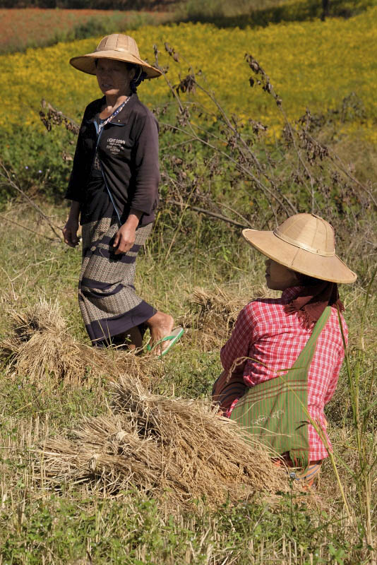 From Taunggyi to Pindaya