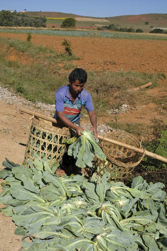 From Taunggyi to Pindaya
