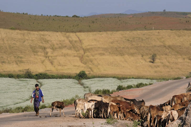 From Taunggyi to Pindaya