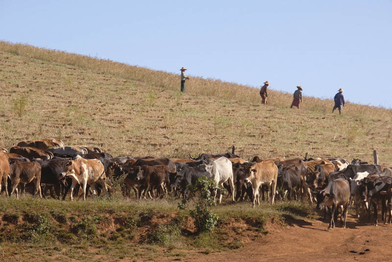 From Taunggyi to Pindaya