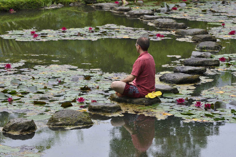 Terra Nostra Garden, S. Miguel Island, Azores, Portugal