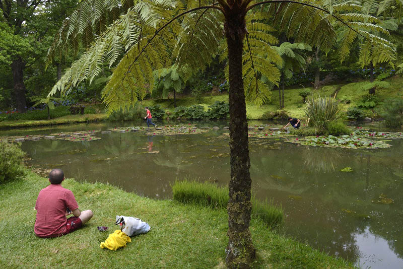 Terra Nostra Garden, S. Miguel Island, Azores, Portugal