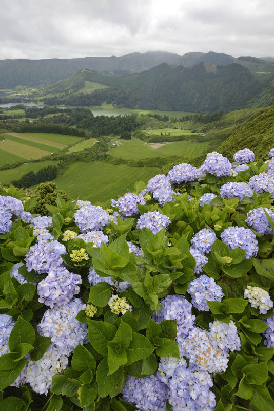 So Miguel Island, Azores, Portugal