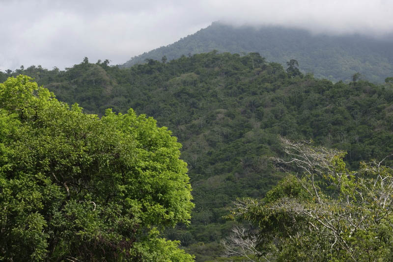 Parque Nacioanl Santa Marta