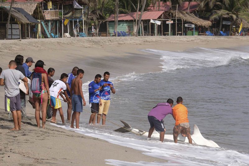 Parque Nacional Santa Marta, Playa Costeo