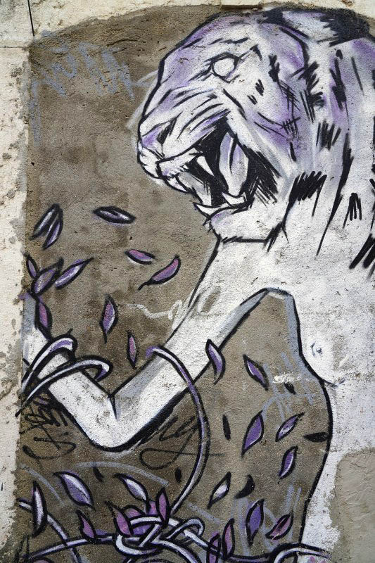 Intendente Square, Tamara Alves 2014
