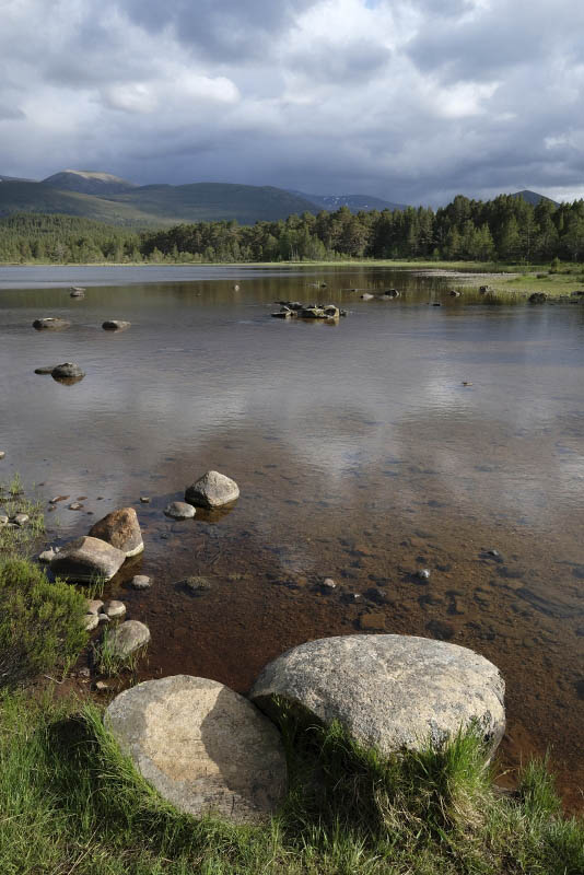 Loch Morlich