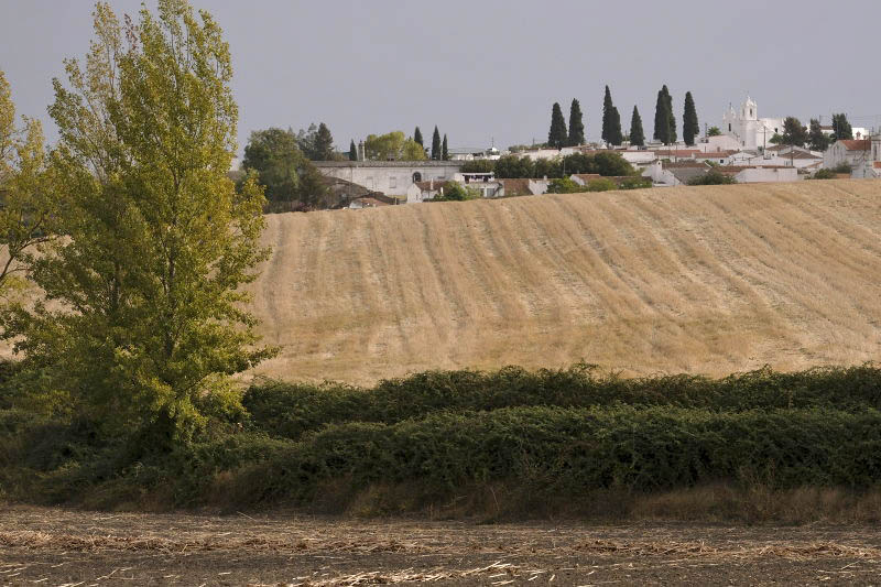 Baleizo, Portugal