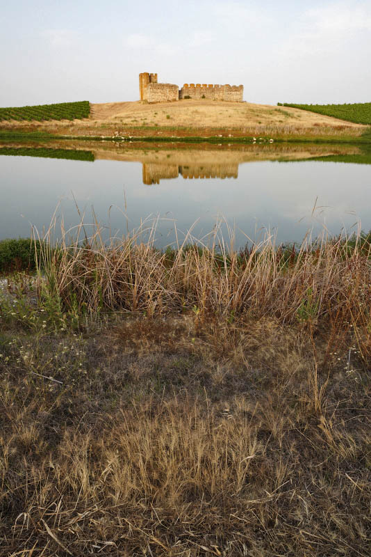Valongo Castle, Portugal