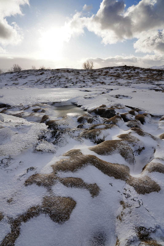 Hestnesbukta