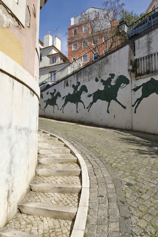 Mata Alley, Nuno Saraiva 2015