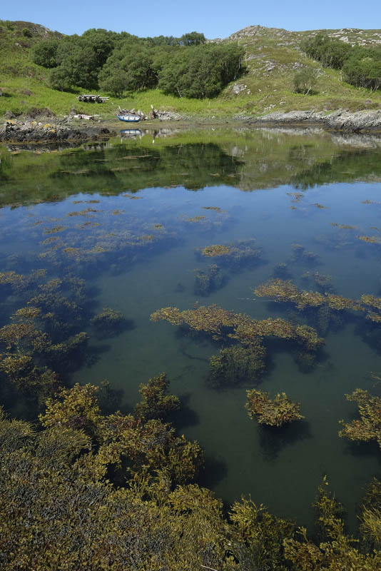 Loch an Eisg-Brachaidh