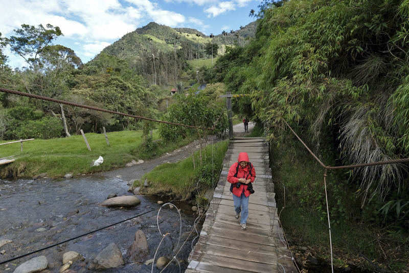 Vale de Cocora