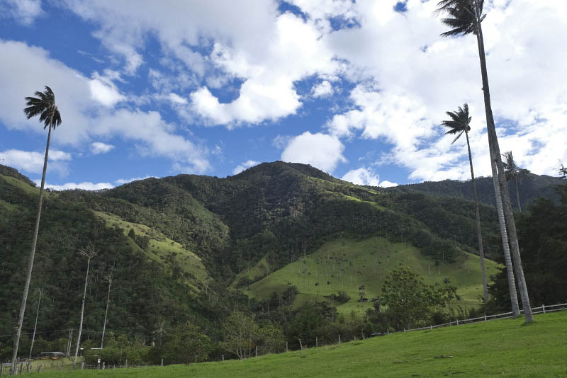 Vale de Cocora