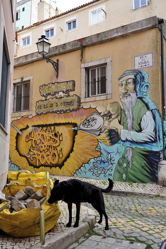 Vinha Street