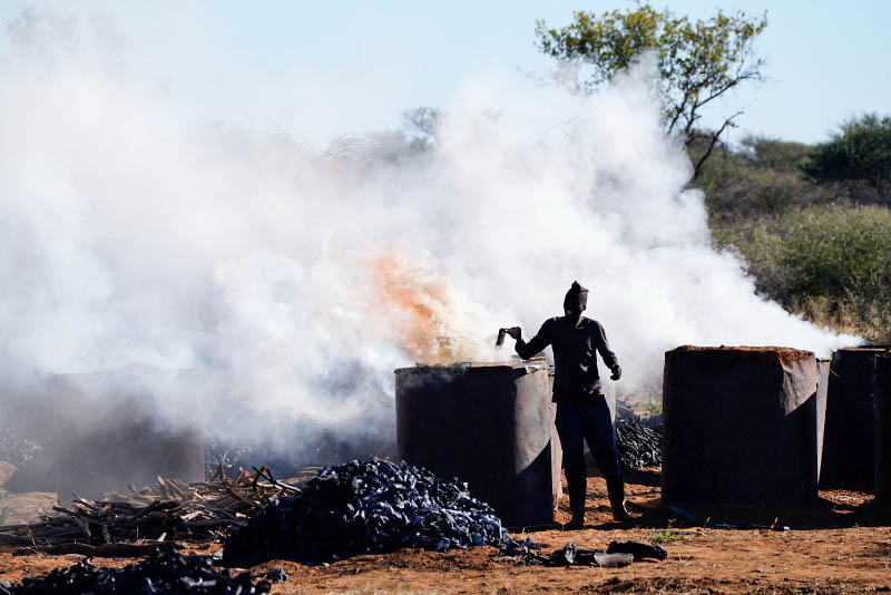 From Waterberg Plateau NP to Cheetah Conservation Fund