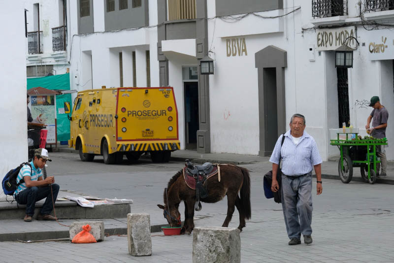 Popayn, Parque Caldas
