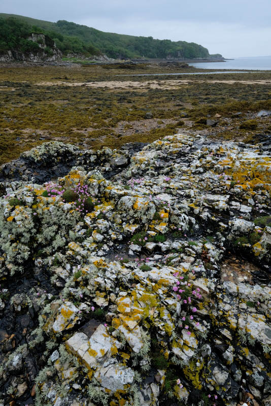 Isle of Skye, Ord