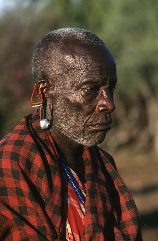 Masai Mara, Kenya