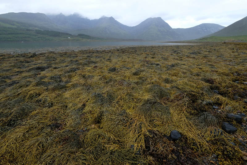 Isle of Skye, Torrin