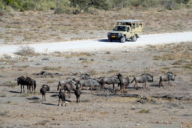 Etosha National Park, Namutoni Resort