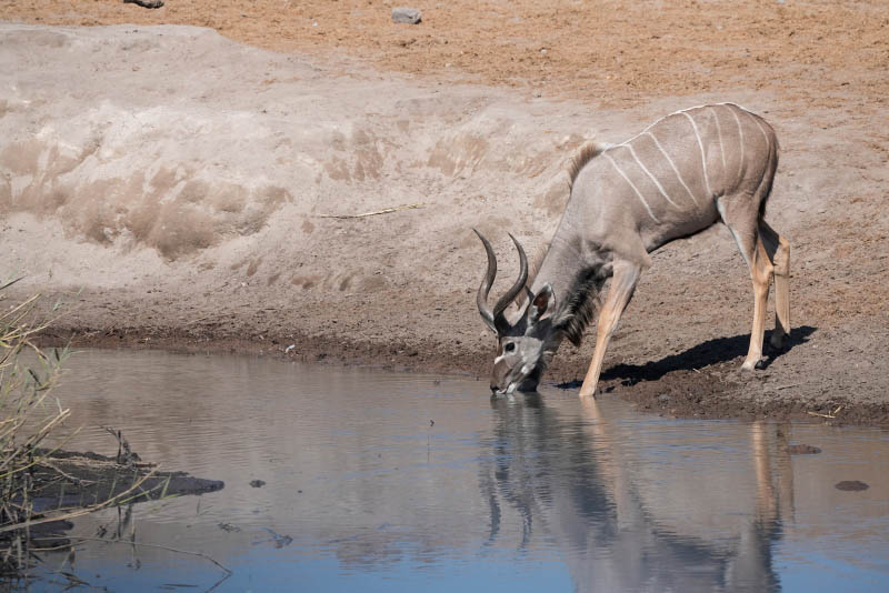 Etosha National Park, Chudop Waterhole
