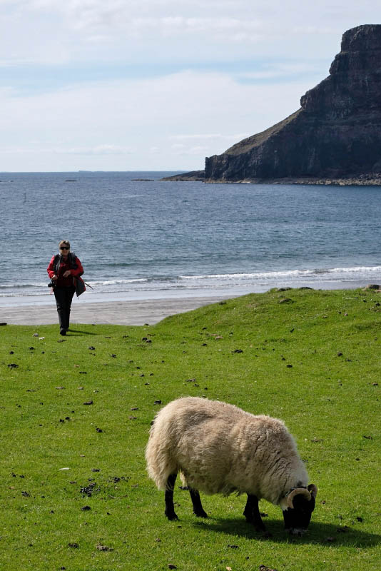 Isle of Skye, Talisker Bay