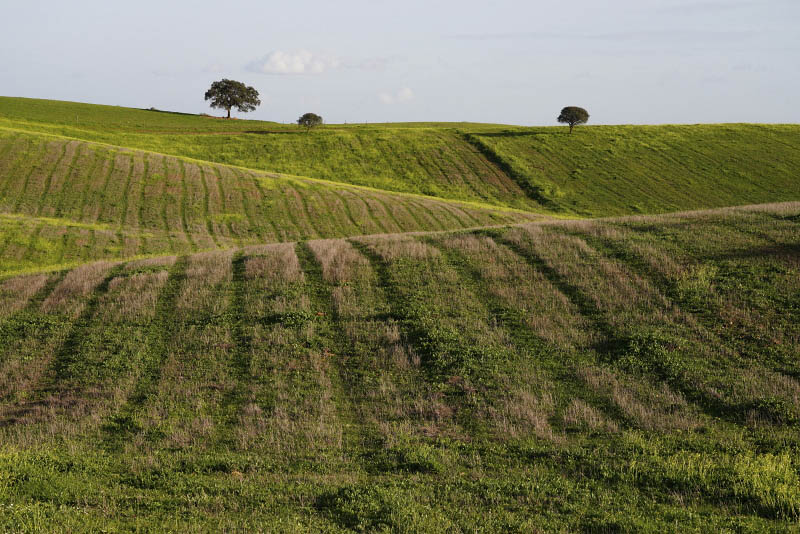 Alentejo, Portugal