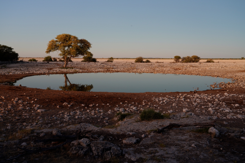Etosha National Park, Okaukuejo Waterhole