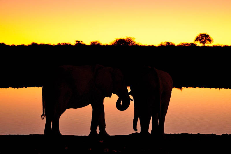 Etosha National Park, Okaukuejo Waterhole