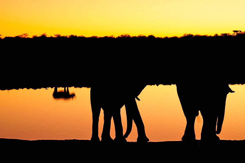 Etosha National Park, Okaukuejo Waterhole