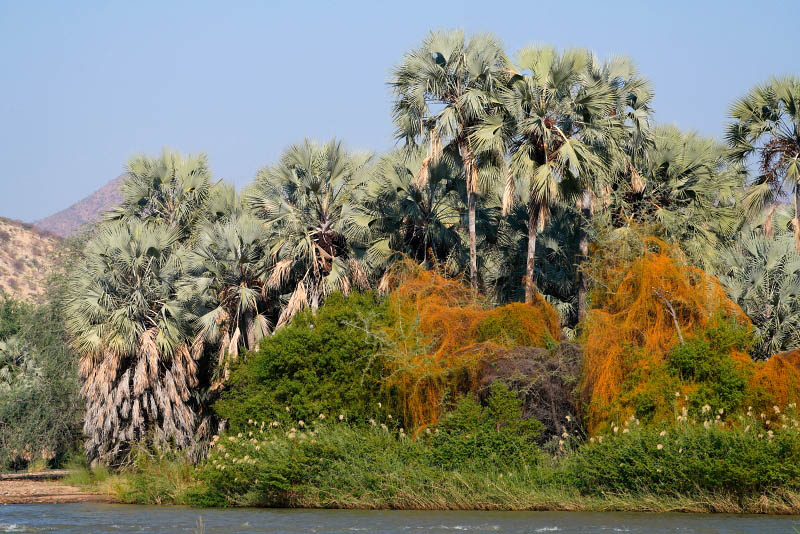 Epupa Falls, island in Kunene River